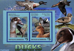 Antigua & Barbuda 2014 Ducks 2v M/s, Mint NH, Nature - Birds - Ducks - Antigua Y Barbuda (1981-...)