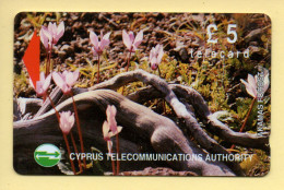 Télécarte : Chypre - Cipro
