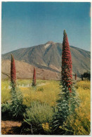 Postal Canarias. Tenerife. El Teide No. 106 - Other & Unclassified