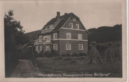 112764 - Schleusingen-Rappelsdorf - Haus Zentgraf - Schleusingen