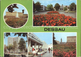 72310653 Dessau-Rosslau Bauhaus Rathaus Cafe Africana Dessau-Rosslau - Dessau