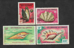 SE)1963 SOMALIA, SEA SHELLS, 60F MNH, THE REST MINTSE)1963 SOMALIA, SEA SHELLS, 60F MNH, THE REST MINT - Autres - Afrique