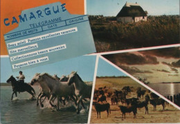 105852 - Frankreich - Camargue - Ca. 1980 - Sonstige