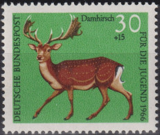 1966 Deutschland > BRD, ** Mi:DE 513, Sn:DE B414, Yt:DE 366, Damhirsch, Waldtiere - Game