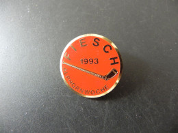 Old Badge Schweiz Suisse Svizzera Switzerland - Alphornwoche Fiesch 1993 - Sin Clasificación