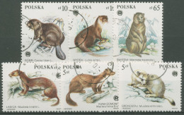 Polen 1984 Geschützte Pelztiere Marder Wiesel Hermelin 2946/51 Gestempelt - Used Stamps