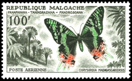 Madagascar 1960 100f Butterfly Unmounted Mint. - Neufs