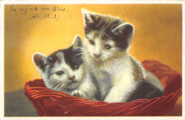 Carte Postale Fantaisie CHAT ( Animaux )  Editeur M.D. Paris Série 2500 - Cats