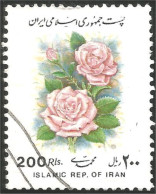 514 Iran Rose (IRN-77) - Roses