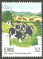 510 Ireland Cattle Vache Cow Vaca Kuh Koe Mucca Vacca (IRL-132) - Kühe