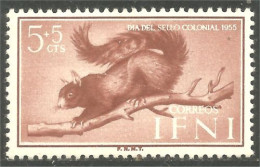 502 Ifni Ecureuil Squirrel Scoiattolo Ardilla Eichhörnchen Eekhoorn MLH * Neuf (IFN-15a) - Ifni