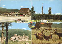 72307035 Torfhaus Harz Sporthotel Brockenblick Hirsch  Torfhaus - Altenau