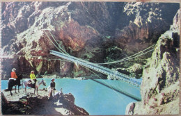 USA UNITED STATES ARIZONA GRAND CANYON KAIBAB SUSPENSION BRIDGE POSTCARD CARTE POSTALE ANSICHTSKARTE CARTOLINA POSTKARTE - Las Vegas