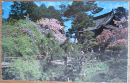 US USA UNITED STATES CALIFORNIA SAN FRANCISCO JAPANESE GARDENS PARK POSTCARD CARTOLINA CARTE POSTALE POSTKARTE CARD - San Francisco