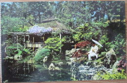 US USA UNITED STATES CALIFORNIA SAN FRANCISCO JAPANESE GARDENS PARK POSTCARD CARTOLINA CARTE POSTALE POSTKARTE CARD - San Francisco