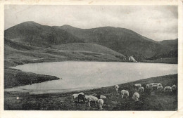 FRANCE - ?fort Montagne ( P De D ) - Vue Sur Le Lac De Guery (Super 22 Hect)  - Carte Postale Ancienne - Autres & Non Classés