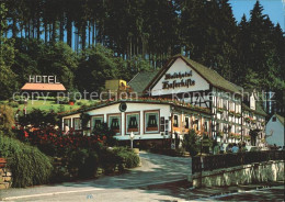 72291324 Kunst-Wittgenstein Waldhotel Haferkiste Heilbad Laasphe Bad Laasphe - Bad Laasphe