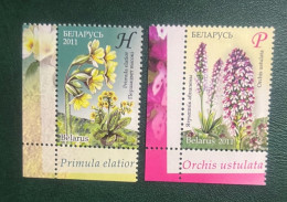 Belarus 2011 - Flowers -  Endangered Plants Of Belarus - Belarus