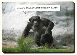 Animaux - Singes - Chimpanzé - Carte à Message - Editions Lyna Paris - Carte Neuve - CPM - Voir Scans Recto-Verso - Singes