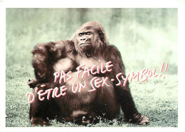Animaux - Singes - Gorille - Carte à Message - Carte Neuve - CPM - Voir Scans Recto-Verso - Singes