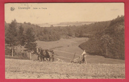 Chevetogne - Vallée Du Poncia ... Laboureur ( Voir Verso ) - Ciney