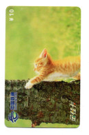 Chat Cat Télécarte Chine China Phonecard (K 15)) - Cina