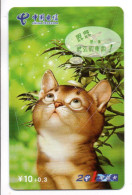 Chat Cat Télécarte Chine China Phonecard (K 17) - Cina