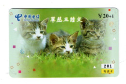 Chat Cat Télécarte Chine China Phonecard (K 20) - Chine