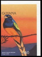 Green-backed Trogon, Birds, Guyana 1996 Imperf MNH - Kuckucke & Turakos