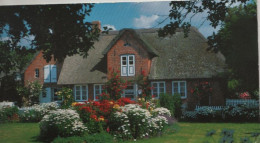 9001759 - Föhr - Landhaus - Föhr