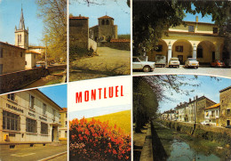 01-MONTLUEL-N°3913-D/0093 - Montluel