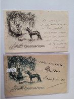 Le Petit Chaperon Rouge , 2 Cartes Circulées  1900 - Contes, Fables & Légendes
