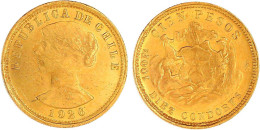 100 Pesos 1926. 20,34 G. 900/1000. Vorzüglich, Kl. Randfehler. Krause/Mishler 170. - Chile