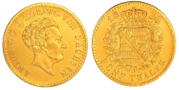 5 Taler (Anton D'or) 1836 G. 6,57 G. Schrötlingsfehler, Henkelspur, Felder Gestichelt Und Geglättet, Optisch Vorzüglich. - Andere & Zonder Classificatie