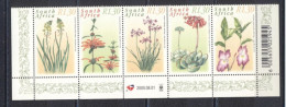 RSA 2000- Medicinal Plants Strip Of 5 V - Unused Stamps