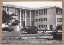 CPSM GUYANE - CAYENNE - Institut Pasteur - TB PLAN EDIFICE ANIMATION + TB AUTOMOBILE - Cayenne