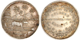 Silbermedaille Der Colombo Agri-Horticultural Society O.J. (um 1900, Unsign). Wasserbüffel Im Reisfeld Vor Palmen/Schrif - Sri Lanka (Ceylon)