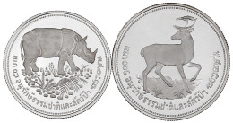 2 Silbermünzen: 50 Baht Und 100 Baht BE 2517 = 1974. Nashorn Und Hirsch. Polierte Platte. Yeoman 102a Und 103a. - Tailandia