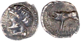 Quinar, 1. Jh. V. Chr. Kopf L./Eber L. 1,44 G. Sehr Schön. Castelin 960. HMZ 1-32a. - Gallië