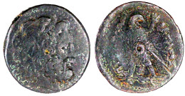 AE Hemidrachme 38 Mm 246/221 V.Chr. Zeuskopf R./Adler Auf Blitzbündel L., Kopf R. Gewandt, Auf Schulter Füllhorn Mit Dre - Griekenland