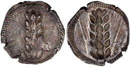 Stater 540/510 V. Chr. META Und Ähre/Inkusum. 7,90 G. Kratzer, Schrötlingsrisse Am Rand. Noe 78. - Griechische Münzen