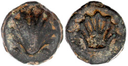 Aes Grave Sextans 269/244 V. Chr. Muschel Mit 2 Wertpunkten/Muschelinneres. 46,45 G. Sehr Schön, Selten. Crawford 21/5.  - Other & Unclassified