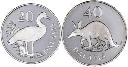 2 Silbermünzen: 20 Dalasis Silber 1977, Sporengans Und 40 Dalasis Silber 1977, Erdferkel. Polierte Platte. Schön 16, 17. - Gambia