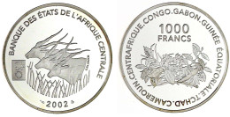 1000 Francs Silber 2002 Zur Euro-Einführung. In Kapsel. Aufl. Nur 500 Ex. Polierte Platte. Krause/Mishler 24. - Autres – Afrique