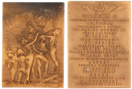 Bronzeplakette 1908, Von Szirmay. Auf Die Zusammenkunft In Schönbrunn Mit Kaiser Wilhelm II., Den Königen Von Sachsen Un - Gouden Munten