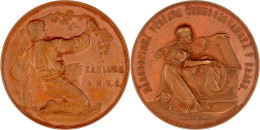 Bronzemedaille 1895 Von Razil Und Pichl. Tschechoslowakische Volkskunde Ausstellung, Verdienstmedaille Für Das Personal  - Gouden Munten
