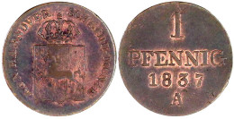 Pfennig 1837 A. Vorzüglich/Stempelglanz, Selten. Jaeger 42. AKS 83. - Gold Coins