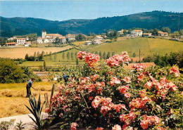 64 - Sare - Vue Générale Du Joli Village Basque Que Pierre Loti A Décrit Dans Ramuntcho - Fleurs - CPM - Voir Scans Rect - Sare