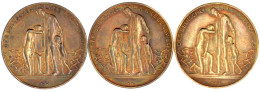 Bronzemünzen Zu 2, 3 U. 5 Mark 1924. PRIV. BÜRGER-SCHÜTZEN-GESELLSCH. Rs. Trauernde Familie, "DES DEUTSCHEN VOLKES LEIDE - Andere & Zonder Classificatie