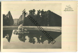 Wien - Schönbrunn - Nymphenbrunnen - Foto-Ansichtskarte - Verlag Hilfswerk Für Den Ausbau Des Schönbrunner Tiergartens - Schloss Schönbrunn